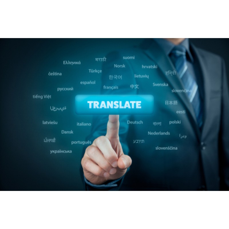 Administrative Translation (400 - 599 Pages)